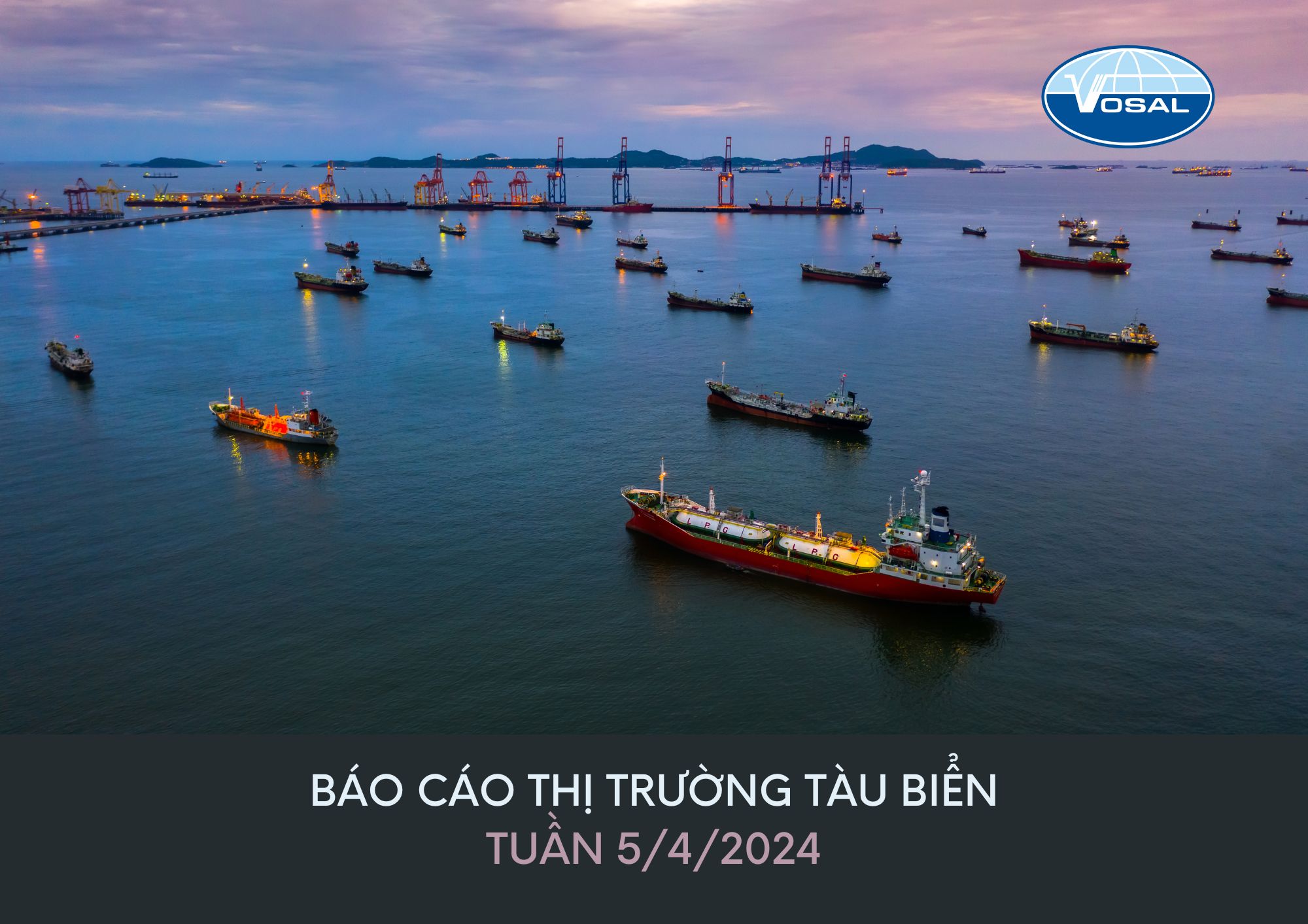 Báo cáo thị trường tàu biển tuần 5/4/2024